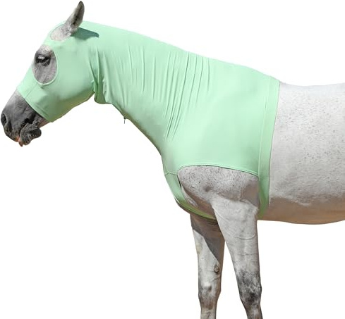 Capucha elástica de caballo con cremallera, cubierta completa para la cara y el cuello para protección contra la picazón dulce, protector de melena y protector de moscas, color verde pálido, talla XXL