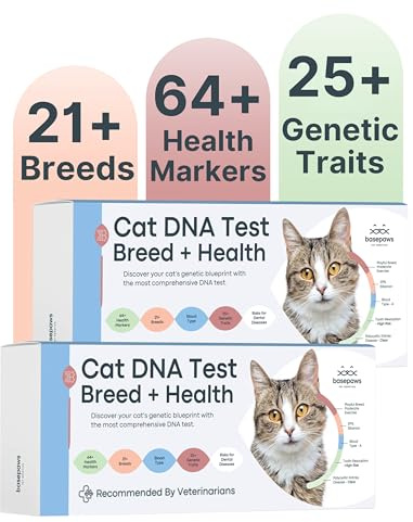 Basepaws Lot de 2 Kits de Test ADN de Chat - Analyse complète de la Race, de la santé et des Dents sur 114 Traits pour des informations génétiques précises et faciles à Utiliser