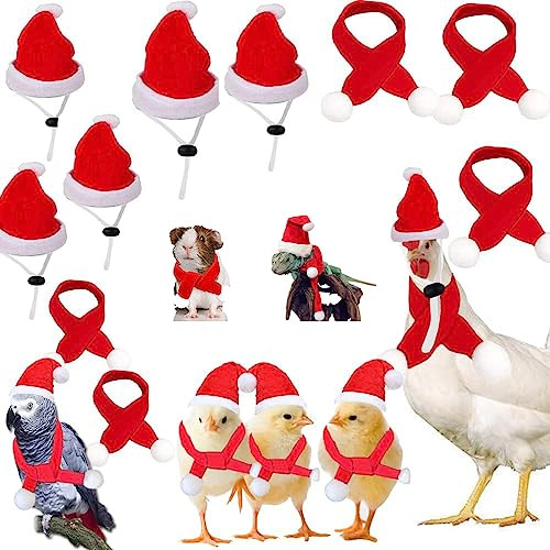 Set di 10 mini cappelli di Babbo Natale, sciarpa, cappello di pollo per animali domestici, sciarpa natalizia con sottogola regolabile, per pollame, galline, gallo, criceto, anatra, lucertola,