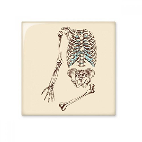 DIYthinker Esqueleto humano bosquejar brillante baldosa cerámica de baño Cocina muro de piedra artesanal de regalo Decoración