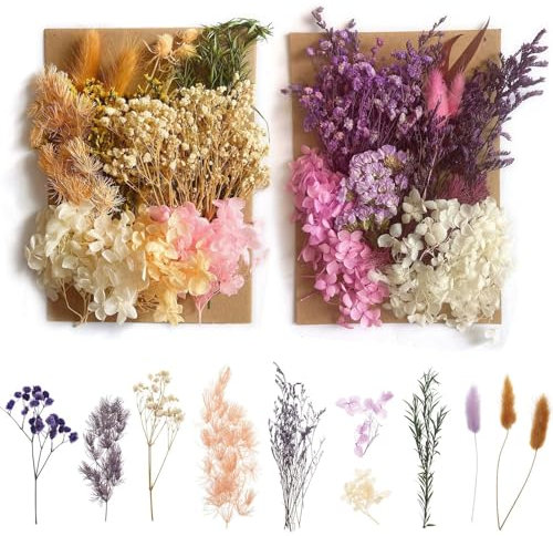 Natürliche Getrocknete Blumen, getrocknete hortensien, Trockenblumen Set, trockenblumen deko, für DIY Gepresste Blumen, Scrapbooking, DIY-Kerze, Schmuckanhänger Basteln