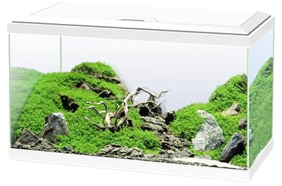 CIANO WEB AQUA 60 WHITE