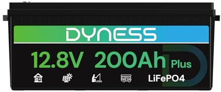 Dyness Batteria Litio 12V 200Ah LiFePO4, 2560Wh per Ciclo Profondo Nautico/Camper, Ideale per Solare, Avventura/Furgone, Sistemi Off-Grid