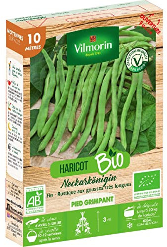 Graines de Haricot vert sans fil NECKARKÖNIGIN BIO 10 mètres