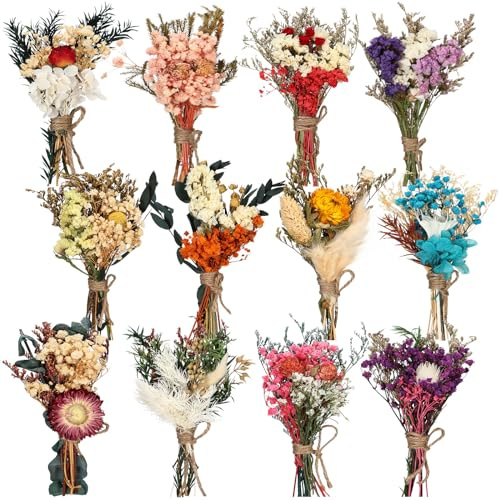 Layhit 12 Pack Boho Dried Flower Bouquet Mini Wedding Handmade Dry Flowers Decor for Vase Crafts DIY Photo Boutonniere for Men Floral Plant for Bridesmaid Gift Birthday Decor(Colorful)