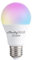 Shelly DUO RGBW E27 Lampadina LED Smart Wi-Fi a Controllo vocale, Compatibile con Alexa e Google Home, Dimmerabile, 800lmn di intensità Luminosa, Attacco e27
