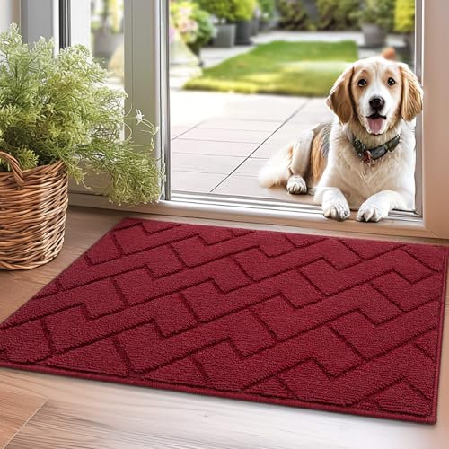 Biscpro Fußmatte Innen Außen Waschbar eingangsteppich innen Schmutzfangmatte rutschfest,Türmatte Innen Teppich für Eingang, Patio, Flur, Garten, Innen und Außen (Rot, 50 x 80 cm)