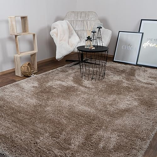 Consilio Concept 120 x 170 Teppich Wohnzimmer Beige Hochflor Shaggy langflorig Handmade handgefertigt Wohnzimmerteppich modern Zertifiziert Made in Germany Design Manufaktur Markenteppich Oeko TEX