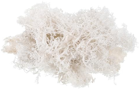 PATIKIL 1.8 OZ Finto Muschio Conservato Renna Muschio Artificiale Muschio Lichene Centrotavola Decoro Finta Muschio per Vaso Piante Natale Artigianato Bianco