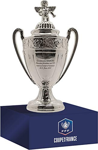 Coupe de France en 3D sur Socle en Bois (Version 150mm)