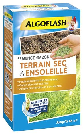 ALGOFLASH Semence Gazon Terrain Sec & Ensoleillé, 1 kg, SEMSOL1, Bleu