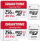 GIGASTONE Gaming Plus Micro SD Karte 256GB 2er-Pack und SD Adapter, Kompatibel mit Switch 1, bis zu 100/60 MB/s MicroSDXC Speicherkarte UHS-I A1 U3 V30 Klasse 10, 4K UHD Videoaufnahme