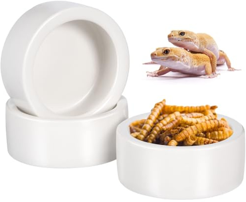 3 Pcs Ceramic Reptile Feeding Bowls Small Gecko Food Dish Lizard Water Feeder Stable Base Easy Clean