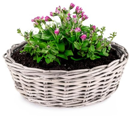 Pflanzkübel Premium Kubu Rattan-Korb als Pflanztopf für außen - runder Pflanzkasten als wetterfester Blumentopf in Ø 45 x 14 cm - Großer Pflanzkorb als Blumen-Korb und Pflanzen-Topf