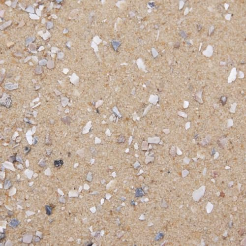Dihl 20KG Aviary Bird Cage Sand with Oystershell, Calcium & Minerals Aids Digestive Health and General Well Being. Premium Quality for all Birds, 20 KG