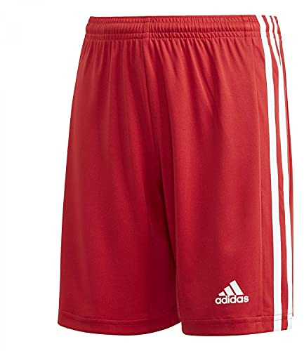 Adidas Jungen Squadra 21 Shorts, Team Power Red/White, 7-8 Years