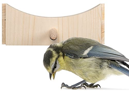GARDIGO® Sistema de alimentación de pájaros para animales de casa I fabricado en Alemania, de madera maciza