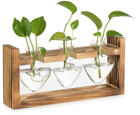 Eighosee Glass Propagation Station for Plants: Vintage Vases Decoration with Wooden Frame Set for Living Room Office Shelf