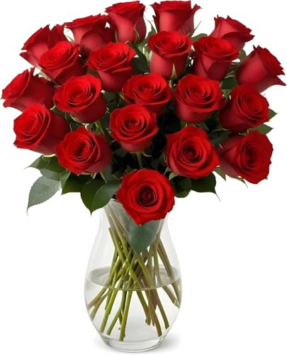 18 Red Roses with Vase | Arabella Bouquets | Real Fresh Flowers for Delivery, Gift for Birthday Women, Congratulations, Anniversary, Thank You, Valentine's Day