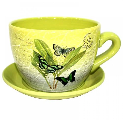 Decorative Novelty Terracotta Tea Cup and Saucer Shaped Garden Patio Flower Planter Plant Pot Tub Large Green Butterfly Leaf Design