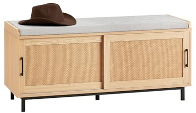SoBuy Banco Zapatero con 2 Puertas 110x40x49cm para recibidor
