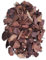 NG NICCOLAI Corteccia di Pino Marittimo Francese Varie PEZZATURE per PACCIAMATURA E Decorazione Sacco 60 Litri (Grossa (20-40 MM))
