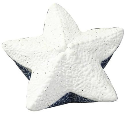 TENDYCOCO Décor Océan Décoration D'intérieur Boîte À Bijoux En Forme D'Étoile De Mer Boîte À Bijoux En Porcelaine Blanche Assiette À Bijoux En Forme D'Animal De Voyage 1 Pièce Ornements