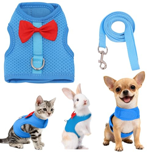 AIITLE Ensemble harnais et laisse pour lapin avec joli nœud, gilet en maille respirante et douce pour lapins, chatons, furets, chiots et petits animaux de compagnie pour la promenade Bleu S