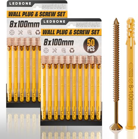 LEDSone Set di 50 viti e tasselli, confezione da 2 pezzi, 8 x 100 mm, per muratura, mattoni e cemento, kit di tasselli e viti in scatola zincata M6/M8/M10, viti per legno resistenti