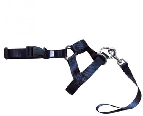 Dog Anti Bark Bite Head Leash Nylon Training Halter Collar No Pull Safe Mouth Harness Stops Pulling (Color : Black, Size : S)