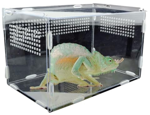 Contenedor , criaturas de Acrílico, Maletín de alimentación | Reptiles Suministros para Insectos Reptiles Tarántulas Anfibios orugas Araña Caracol