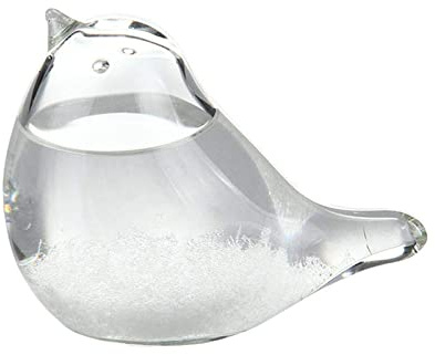 Previsioni meteo per bottiglie stazionarie | Stazione Meteo Storm Uccelli Previsioni | Previsioni meteo Globe Storm Glass Cloud Forecaster per l'ufficio domestico