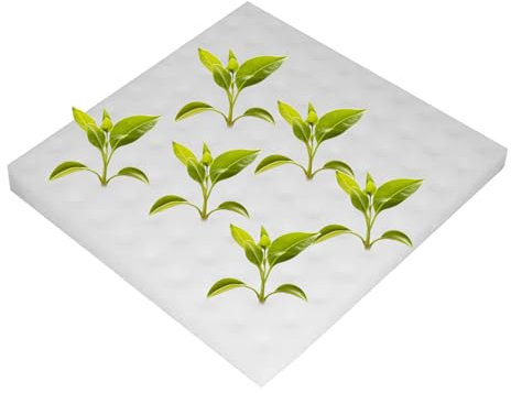 XIAOXIAOYU Spugne per Coltivazione Aerogarden - Strumento per Piantine Idroponiche e Semina - Accessori per la Germinazione che Stimolano le Radici per Coltivazioni su Balcone in Interno ed Esterno