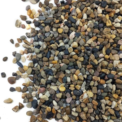 SHIZWU 5LB Aquarium Gravel, 1/4 Pea Gravel for Fish Tank, Small River Rocks for Garden Decoration, Landscaping, Vase Filling, Flower Pot Paving(4-8MM)