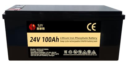 Lifepo4 Mini batterie à décharge profonde 24 V 100 Ah pour camping-car, solaire, camping, cabine, système marin et hors réseau, stockage d'énergie à la maison, jusqu'à 15 000 cycles