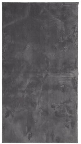 vidaXL Rug with Soft Short Pile- Washable Cozy Polyester Material - Anthracite 60x110 cm - Non-Slip Backing – Indoor Use – Underfloor Heating Suitable