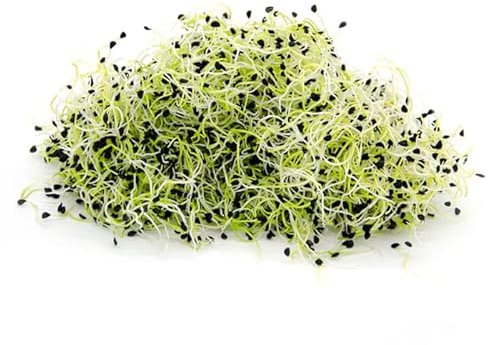 Italian Sprout - Semi per germogli - Porro cinese Pucca - 200 gr.