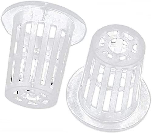 Lovelegis Idroponica - vaso trasparente - coltivazione con spugna - senza terra - adatta per vivai - confezione 10 pezzi - foro 5 cm