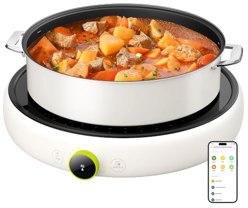 TOKIT Bärbar Induktionshäll 2100W - Rund Induktionshäll 1 Zon, 99 Effektnivåer, OLED-kontroll, Pannavkännning, WiFi & App Mi Home, för Kök Camping