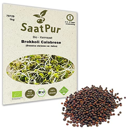 BIO Keimsaat Brokkoli Calabrese 1 kg Brokkolisamen zur Sprossenzucht Sprossen Microgreen Mikrogrün