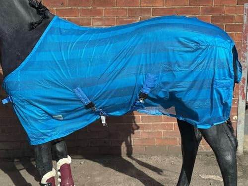 HORSE FLY RUG FLY SHEET FOR HORSE PONY SHETLAND BLUE 5'0 to 7'0 (6'3)