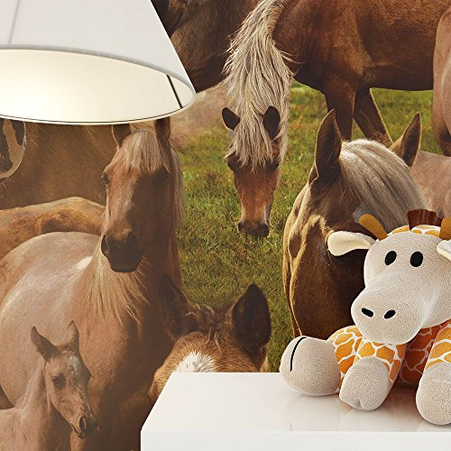 NEWROOM Kindertapete Braun Pferde Gras Kinder Papiertapete Grün Papier Tapete Jung