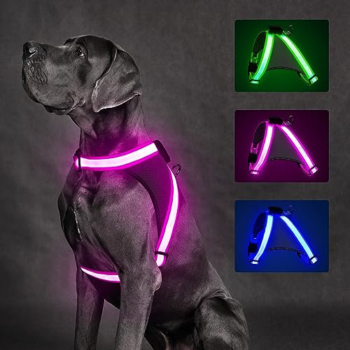 ChalkLit LED Leuchtendes Hundegeschirr USB Wiederaufladbares Vollständig Beleuchtetes Hundegeschirr Leuchtet Im Dunkeln für Nachtspaziergänge Sicherheitsweste, mittelgroße große Hunde(Rosa, M)