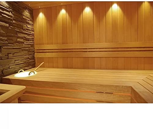 Blue import BIM oy Lot de 9 éclairages pour sauna - Couleur : doré