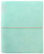 :Filofax A5 Domino Soft Organizer, 2020 (Entenei)
