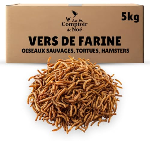 vers de Farine Séchés 5kg Au Comptoir de Noé, 100% Naturel, Riches en Protéines et Bonnes Graisses, vers Farine, Almentation pour Poissons, Oiseaux Sauvages, Tortues, Hérissons, Rongeurs et Reptiles