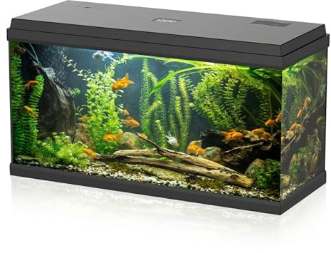Aqpet Acquario in Vetro per Pesci tropicali Completo di Accessori Filtro Luce Simply, 100 80x32x47 cm 100 Litri