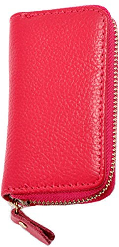 iSuperb Portachiavi in Pelle Raccoglitore Chiave Cuoio con Cerniera Chiave Caso Cuoio per Uomo e Donna 11.5x6.5x2.2cm (Rosa)