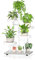 iDavosic.ly Pflanzenständer Metall mit 5 Ebenen, Pflanzenregal Blumenregal Indoor Outdoor, Holz Blumenständer Innen Flower Plant Stand Shelf für Garten Balkon Wohnzimmer (Weiß)