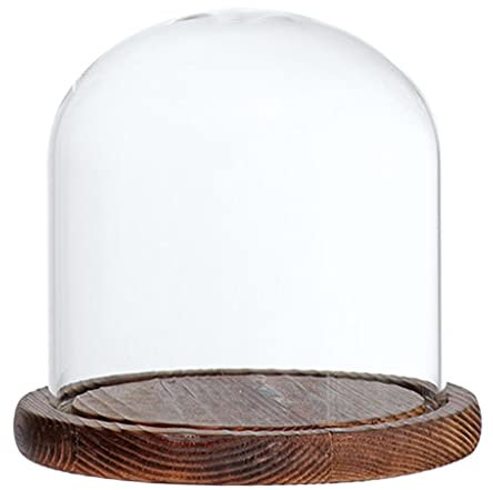 perfk Cupola di Vetro Vaso Forma di Campana di Vetro con Legno, Marrone E